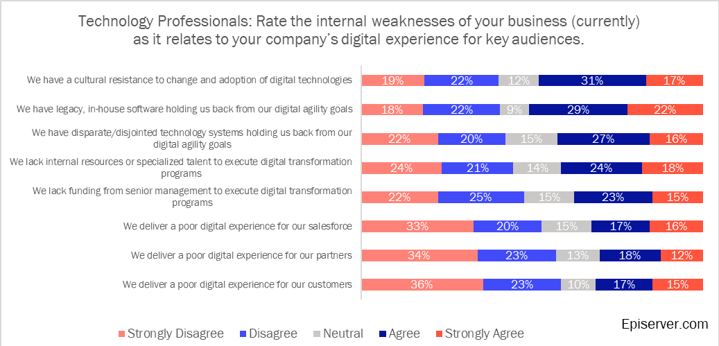 Technology professionals' internal weaknesses